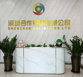 Shenzhen Colighting Ltd Εταιρικό Προφίλ