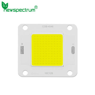 6000k DC COB LED Module High Luminance 20W 6000k Full Spectrum