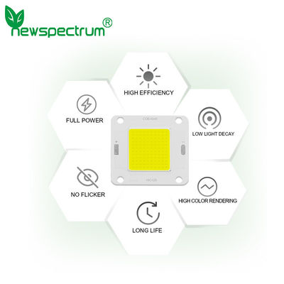 6000k DC COB LED Module High Luminance 20W 6000k Full Spectrum
