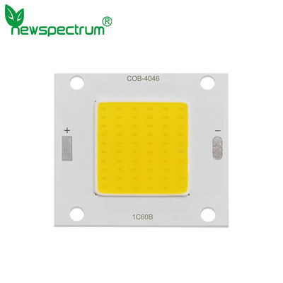 DC COB Solar Led Module High Luminance Fast Heat Dissipation