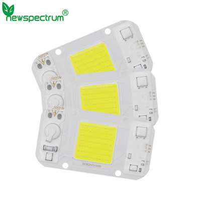 30W AC DC COB NO Driver Chip Led For DIY Floodlight Grow Light