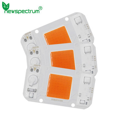 30W AC DC COB NO Driver Chip Led For DIY Floodlight Grow Light