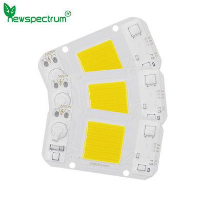 30W AC DC COB NO Driver Chip Led For DIY Floodlight Grow Light