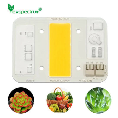 AC 220V 100W High Power Cob LED Chip Unmanned Driving Solderless