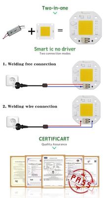 3000k COB Module Led 30W 220V Downlight Spotlight For Grow Light