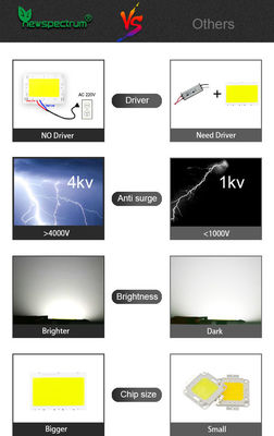 No Drive High Power Cob Led Chip On Board For Led Flood Light