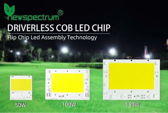No Drive High Power Cob Led Chip On Board For Led Flood Light