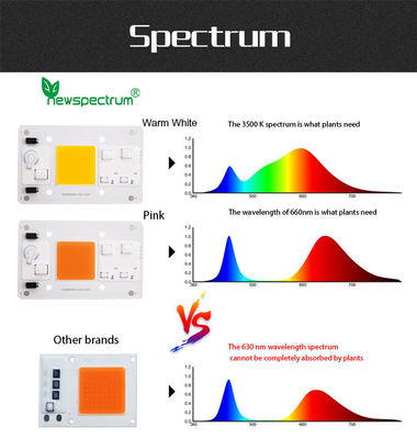 AC 120V Horticulture COB LED Chip No Need Driver High Brightness
