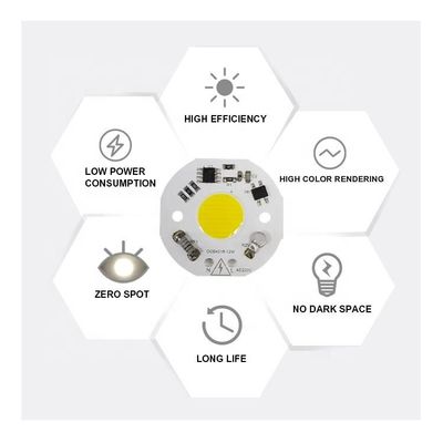 Surge Protection Smart LED Module Driverless High Brightness 12W LED Chip
