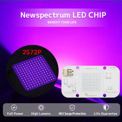 Υψηλή φωτεινότητα 50 οδηγημένος UV cOem διόδων 395nm Watt σπάδικας καμία συγκόλληση