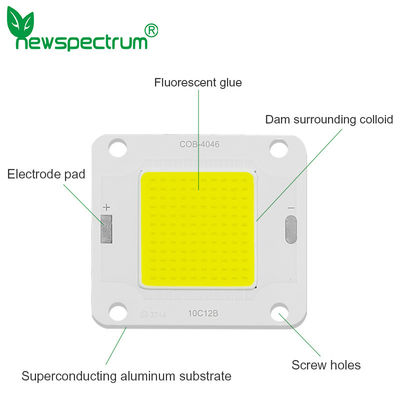 Συνεχές ρεύμα 24V ενότητας 50W των RGB οδηγήσεων συνήθειας καμία συνέλευση τσιπ κτυπήματος τρεμουλιασμάτων