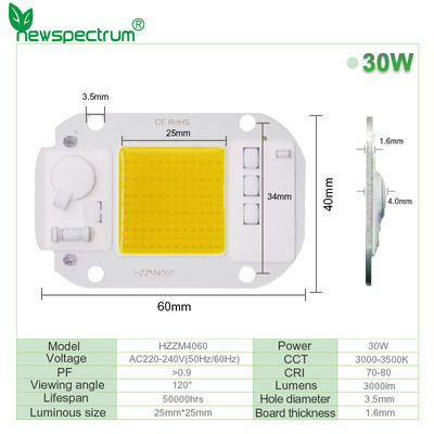 AC220V 240V LED COB Lamp Chip Driverless For Flood Light Led Bulb Spotlight