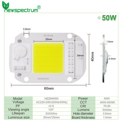 AC220V 240V LED COB Lamp Chip Driverless For Flood Light Led Bulb Spotlight