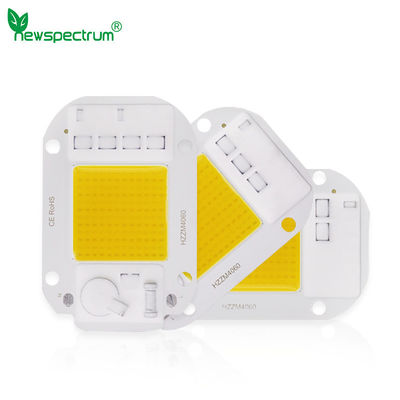 AC220V 240V LED COB Lamp Chip Driverless For Flood Light Led Bulb Spotlight