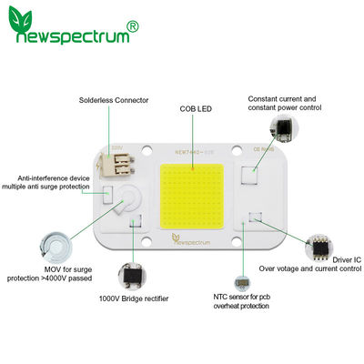 110V Led Cob-module geen bestuurder nodig LED-matrixchips koud wit