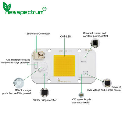 Χωρίς έλξη Cob Driver Led Chip Cold White 30w Led Module για DIY προβολείς