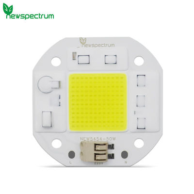 Solderless Chip On Board Led COB 50W 220V For Floodlight Downlight