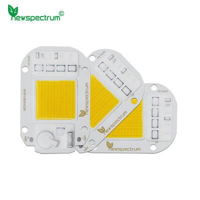 Φωτεινή ροή 250lm COB LED Μοντέλο 40mm * 60mm Για ενεργειακά αποδοτικές λύσεις φωτισμού