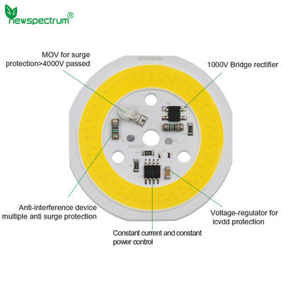 3000K Dimming Cob LED
