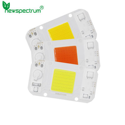 AC220V AC LED Module
