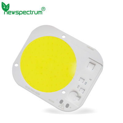 το κτύπημα οδηγημένο τσιπ 30W 50W σπαδίκων 20W 5000LM για τα επίκεντρα αυξάνεται οδηγημένο το φω'τα τσιπ σπαδίκων