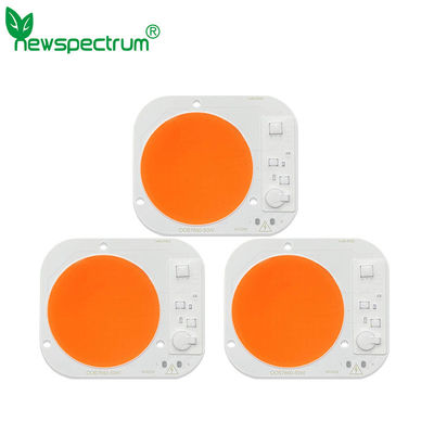High Lumens 50W Horticulture COB Round Cob Led Light For Spotlights