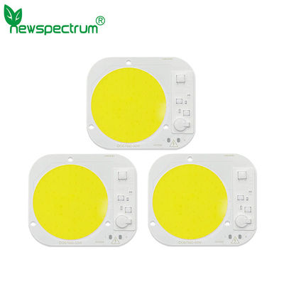 AC50W Dob Led Module Light Source Linear Integrated High Voltage