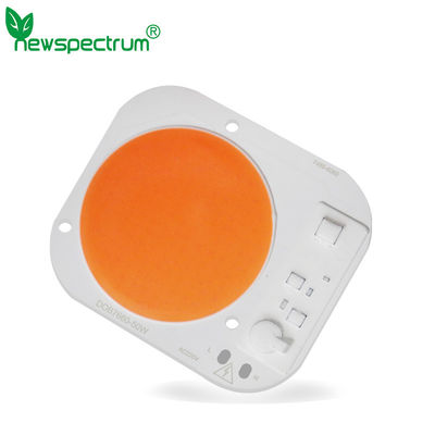 το κτύπημα οδηγημένο τσιπ 30W 50W σπαδίκων 20W 5000LM για τα επίκεντρα αυξάνεται οδηγημένο το φω'τα τσιπ σπαδίκων