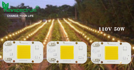 AC110V AC LED Module COB Chip No Need Driver For Greenhouse Lights