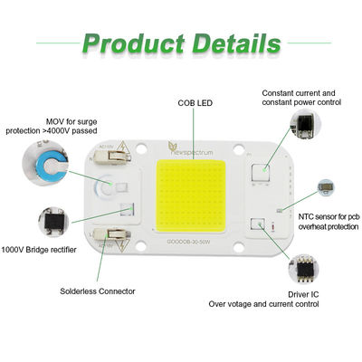 Φωτιστικά λαμπτήρες COB Cob Led Chips Μέγεθος 25mm Υψηλή θερμική αγωγιμότητα