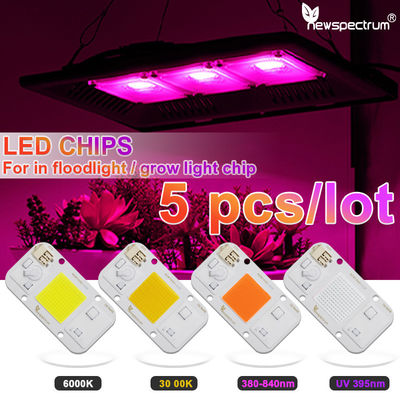 110V Led Cob-module geen bestuurder nodig LED-matrixchips koud wit