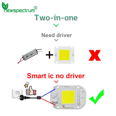 20W Warm White LED Module