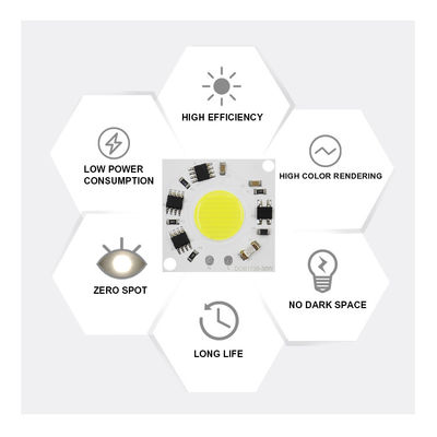 COB 220V LED Module Ψυχρό λευκό 30w Cob Led για εξωτερικό λαμπτήρα LED