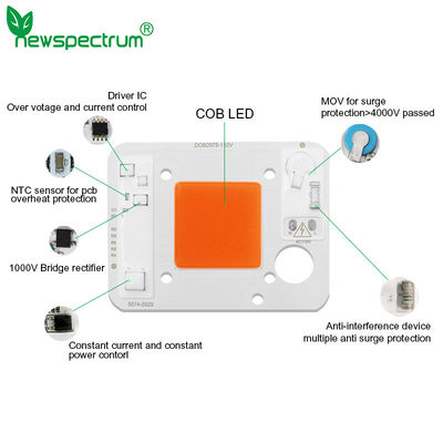 3000 мм COB LED модуль COB чип 50 Ватт 6000 К для коммерческих осветительных решений