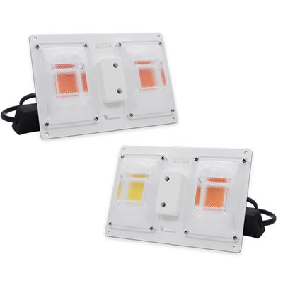 Waterproof Led Light Bar Module