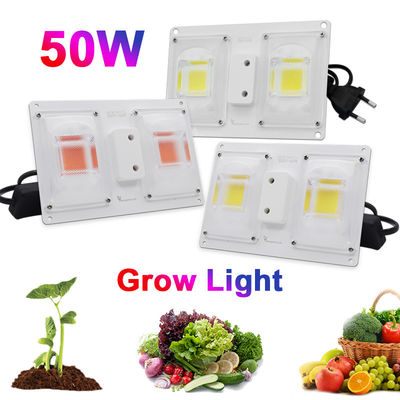 220V 3500K Light Bar Module Efficient Heat Dissipation For Indoor Planth Flowers