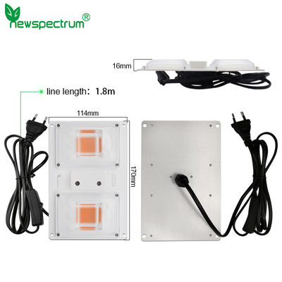 220V 3500K Light Bar Module Efficient Heat Dissipation For Indoor Planth Flowers