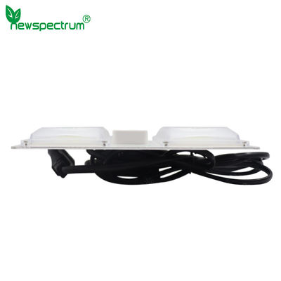 τσιπ των άσπρων ελαφριών φραγμών 110V 220V ενότητας οδηγήσεων ΣΠΑΔΊΚΩΝ για την εσωτερική υπαίθρια χρήση