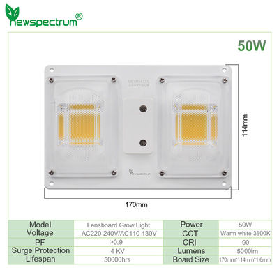 220v COB LED Chip