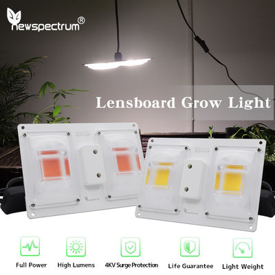220v COB LED Chip