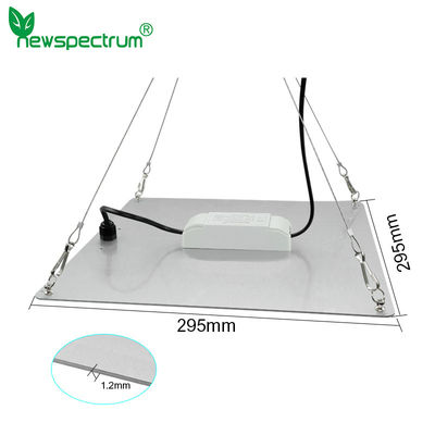 100W Switch Control LED Quantum Board Aluminium Alloy LED Growth Light