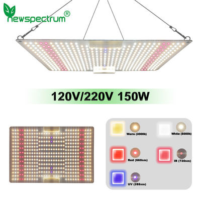 100W Switch Control LED Quantum Board Aluminium Alloy LED Growth Light