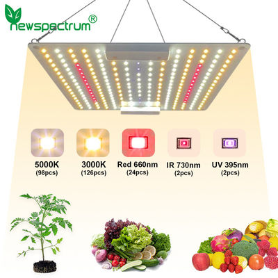 100W Horticulture SMD Chip Voltage 240v Led Grow Light Board