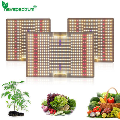100W Horticulture SMD Chip Voltage 240v Led Grow Light Board