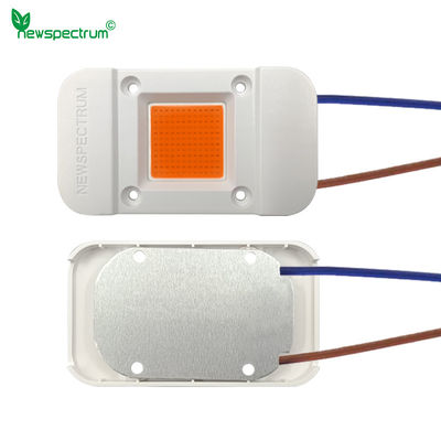 Plastics Material Chip On Board Led Chip Holder OEM Size 25mm