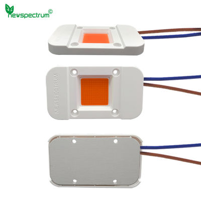 Plastics Material Chip On Board Led Chip Holder OEM Size 25mm