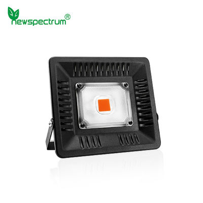 100w Led Cob Grow Lights Phytolamp Full Spectrum No Noise No Fan