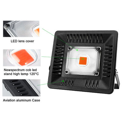Το ελαφρύ φυτό ενότητας 50W IP65 φραγμών Phytolamp αυξάνεται την ελαφριά τάση 240V