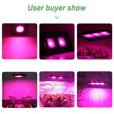 100w Led Cob Grow Lights Phytolamp Full Spectrum No Noise No Fan
