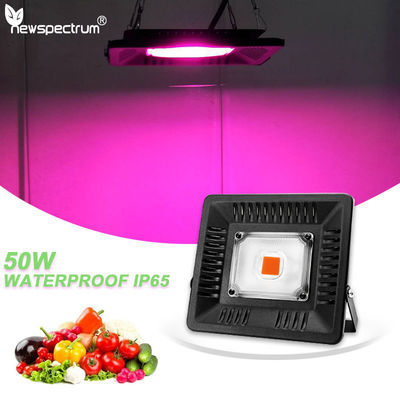 Το ελαφρύ φυτό ενότητας 50W IP65 φραγμών Phytolamp αυξάνεται την ελαφριά τάση 240V